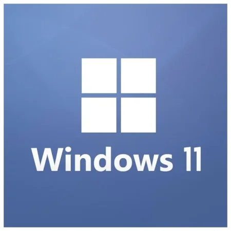 Windows 11 [10.0.22631.3155] Version 23H2 x64